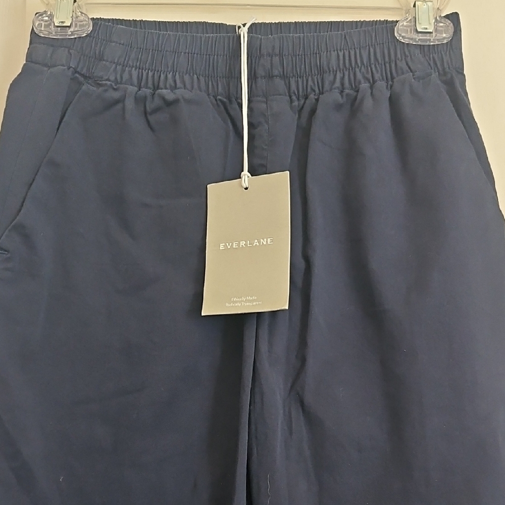 Everlane Deep Blue Trousers